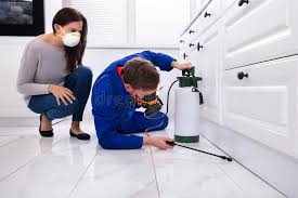 Best Commercial Pest Control  in Smyrna, DE